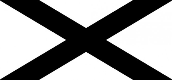 “Southern Nationalist” Flag “Southern Nationalist” Flag