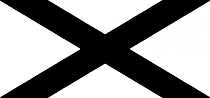 “Southern Nationalist” Flag