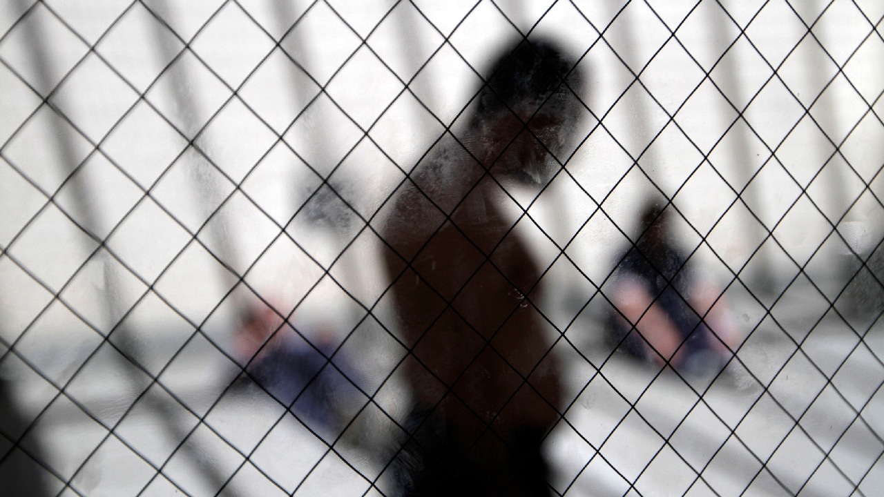 Dignity for Detained Immigrants Act urgently needed for humane