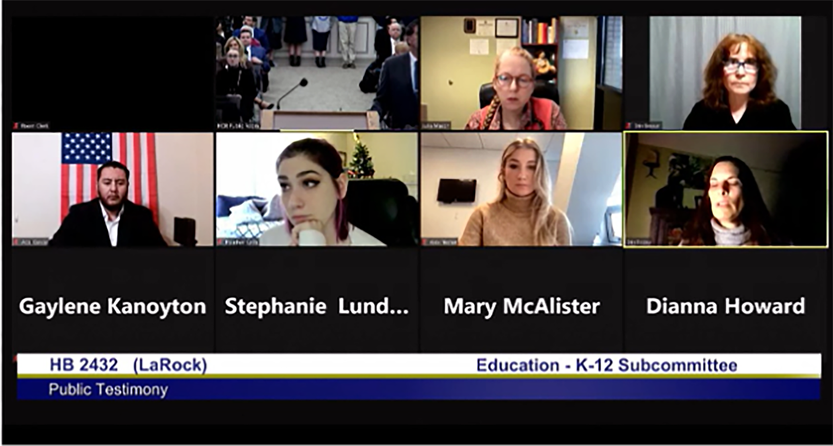 Screenshot of an online meeting