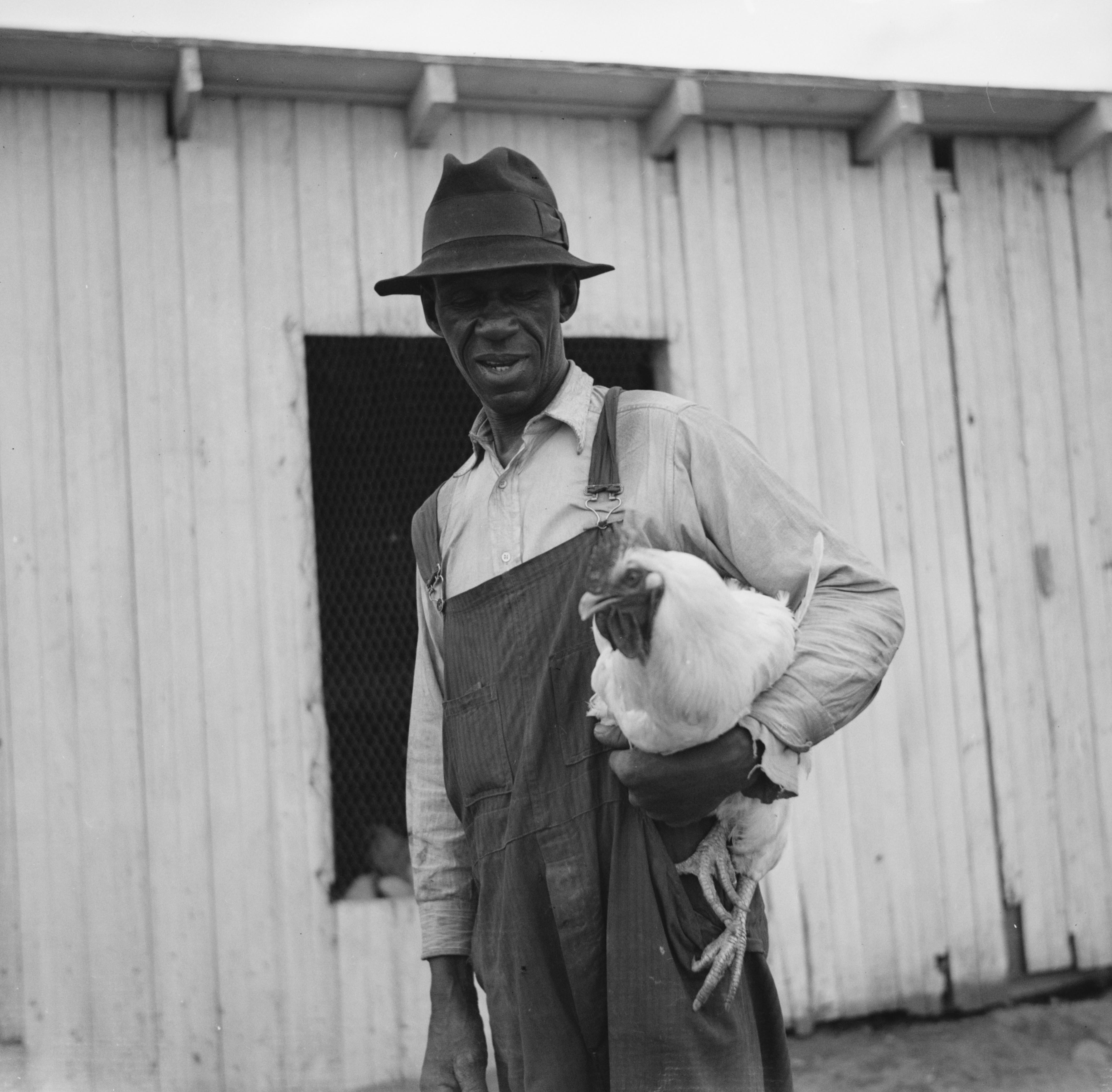 Man holds rooster.