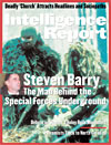 ir95_cover_0