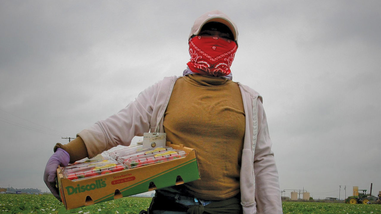 SPLC-Publications-Sexual-violence-Against-Farmworkers-1280x720