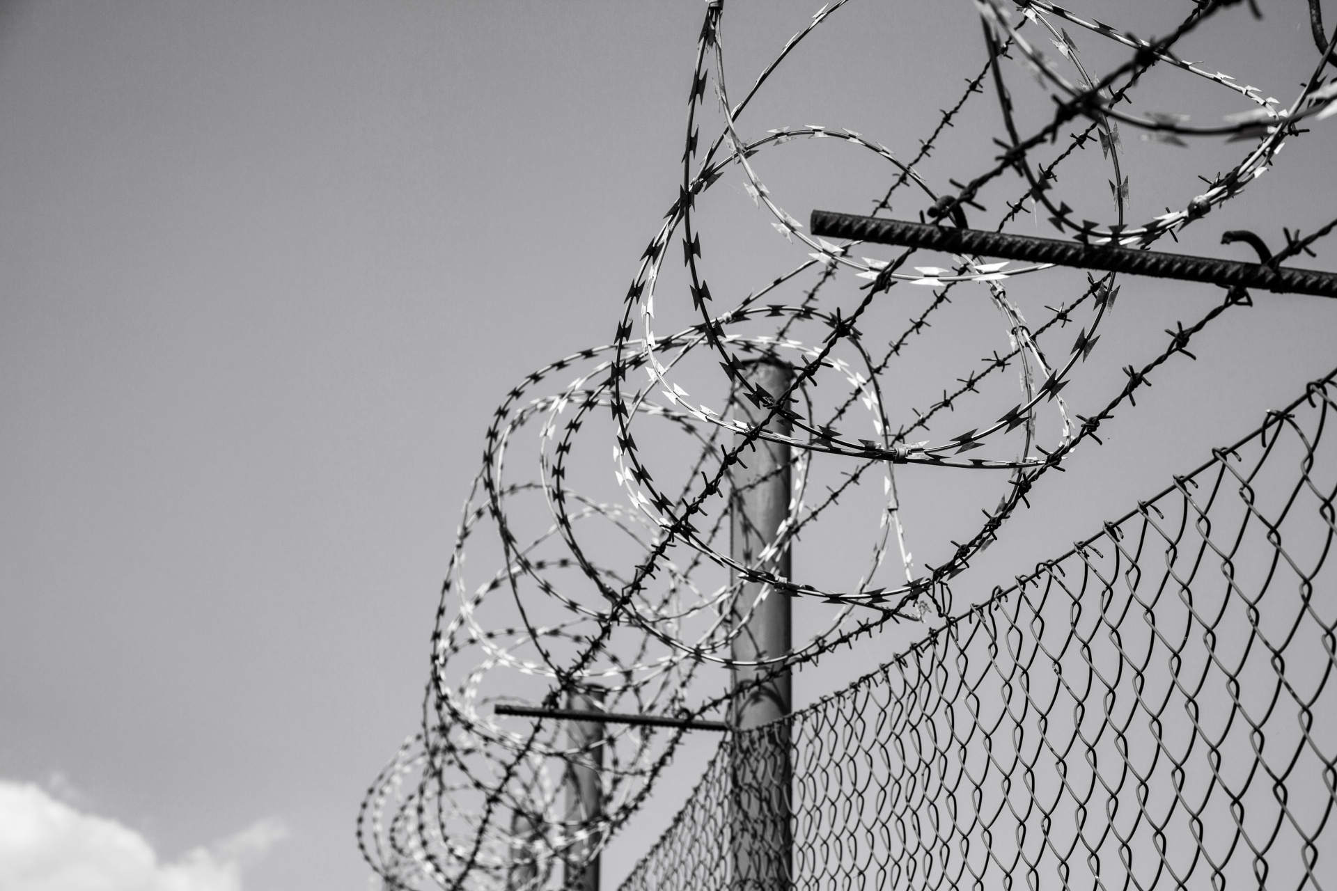 barbed-wire