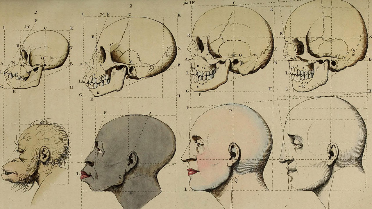 scientific-racism-1800s