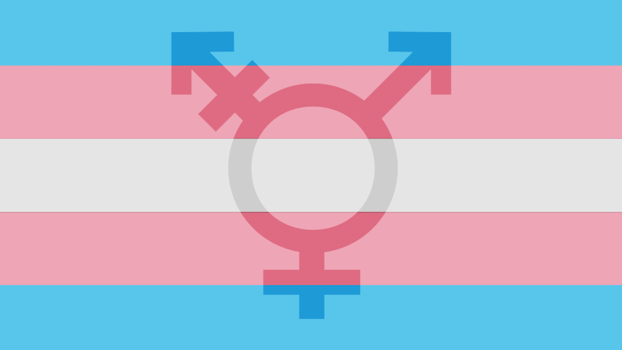 20170801-lgbt-transflag