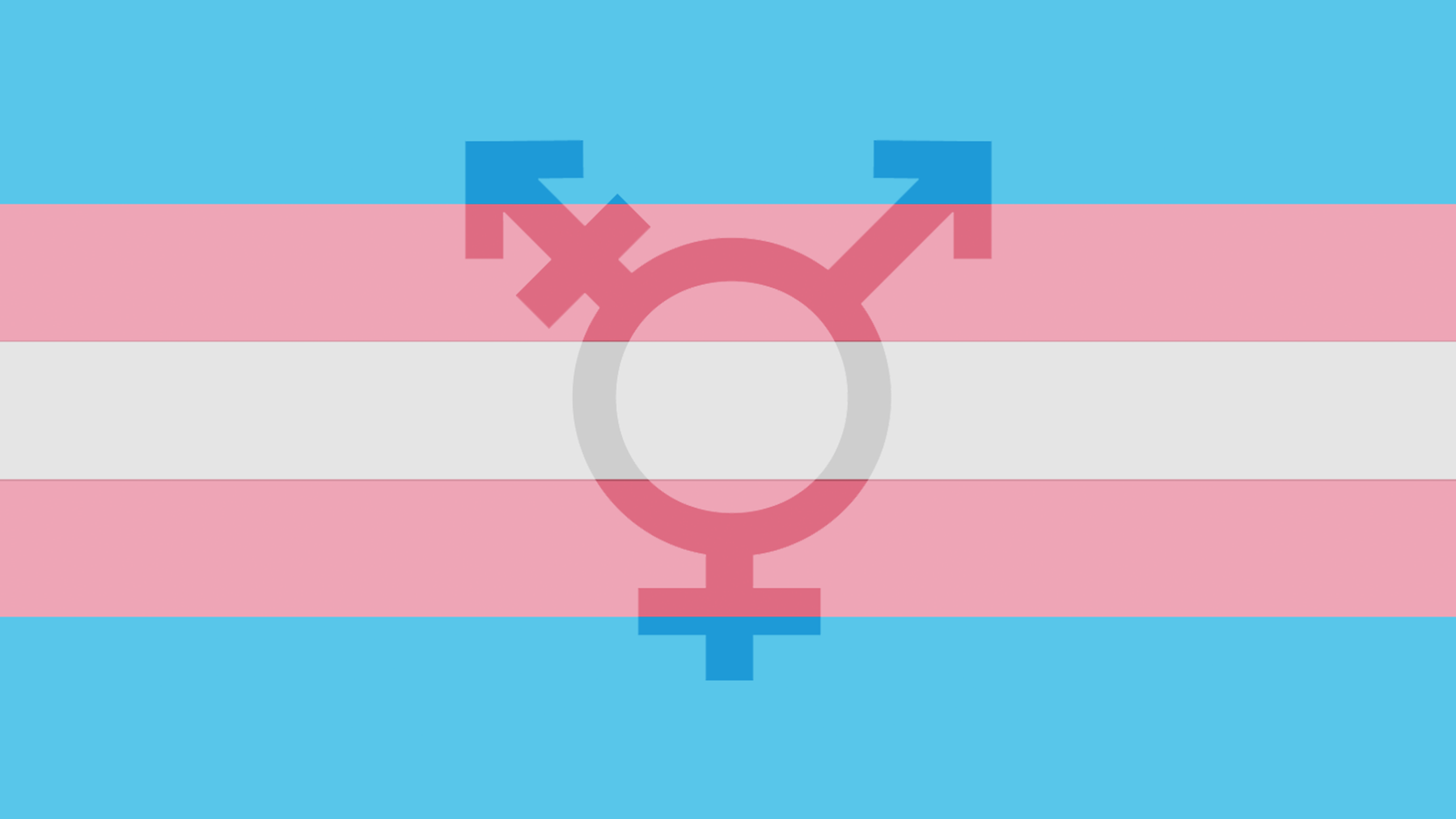 SPLC Statement on Transgender Day of Visibility