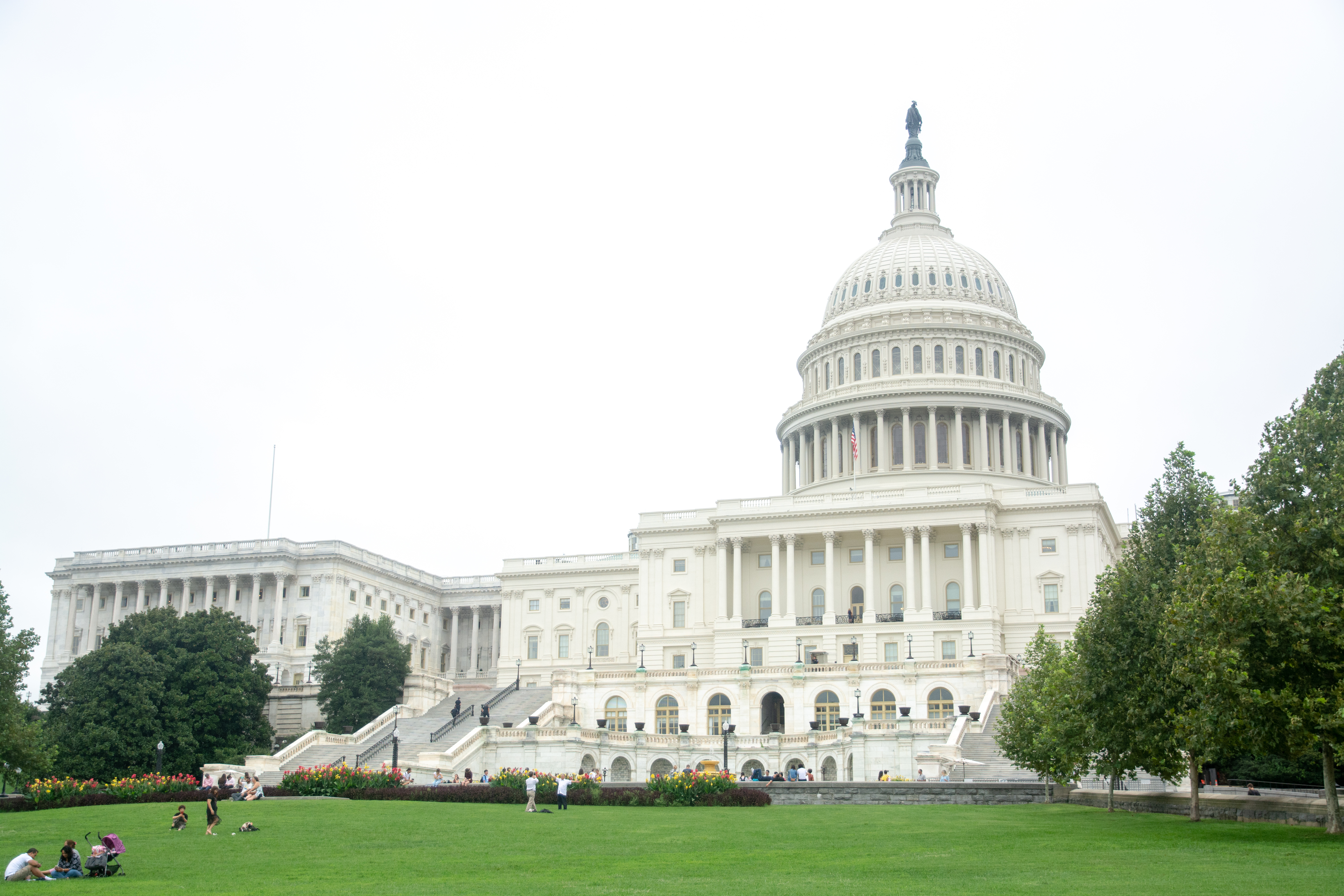 dc-edited-12