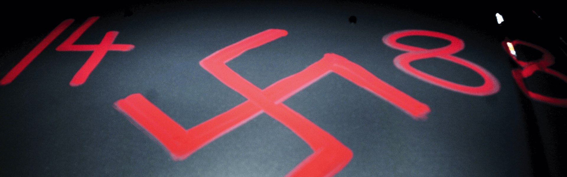 com_terror_from_the_right_2008_cowart-car-swastika_breaker