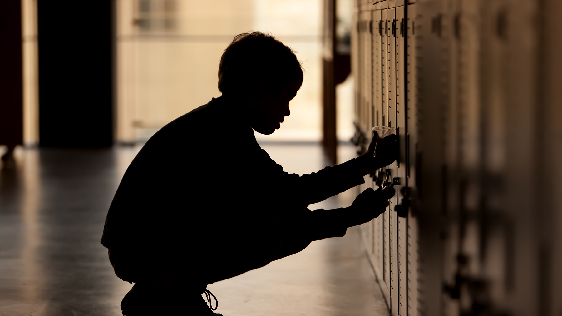 web_la_schools_istock-153731642
