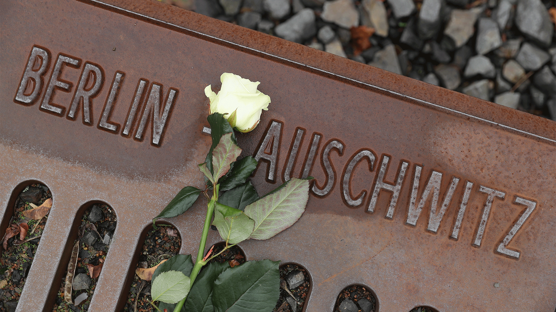 web_75th-anniv-auschwitz-liberation_gettyimages-615579580