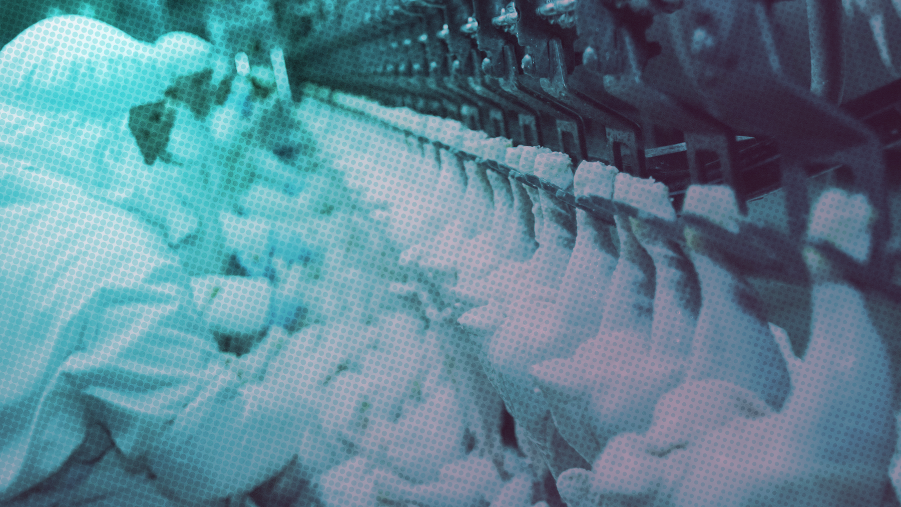 web_covid-19_poultry_worker_blog