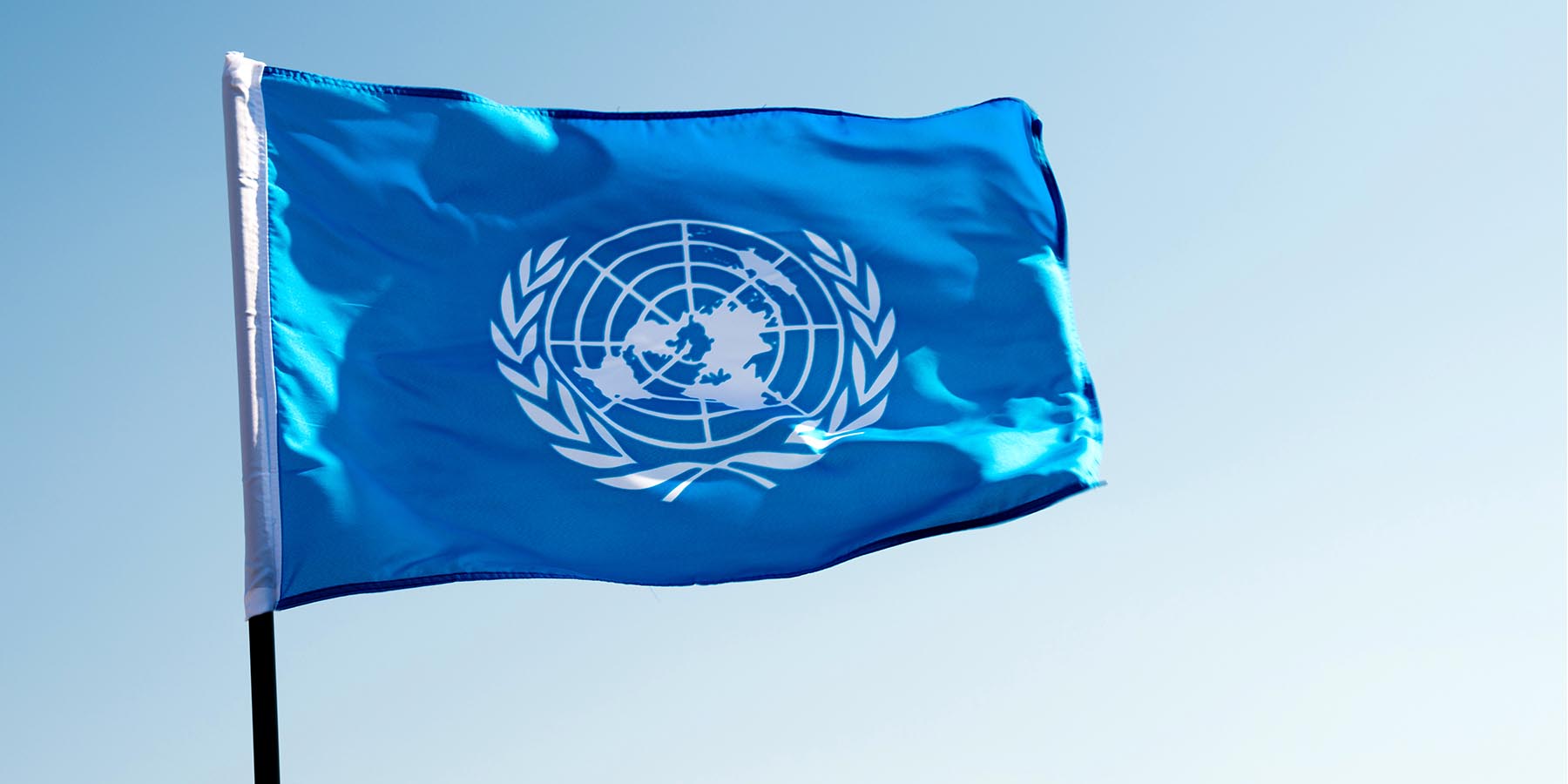 web_un-special-rapporteur_istock-1182701759