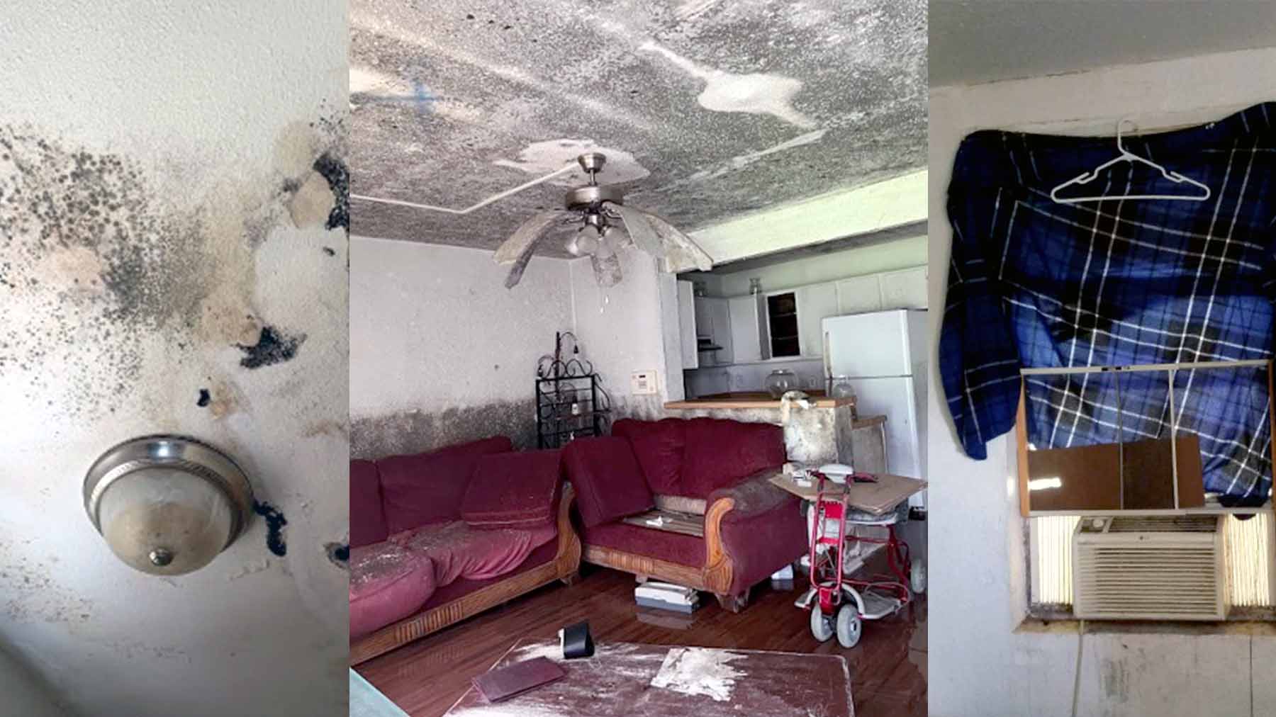 Unhealthy Homes: ‘Gutted’ New Orleans ordinance allows landlords to neglect run-down properties