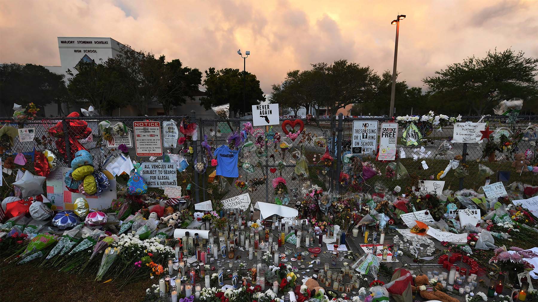 web-parkland-gettyimages-1087871006