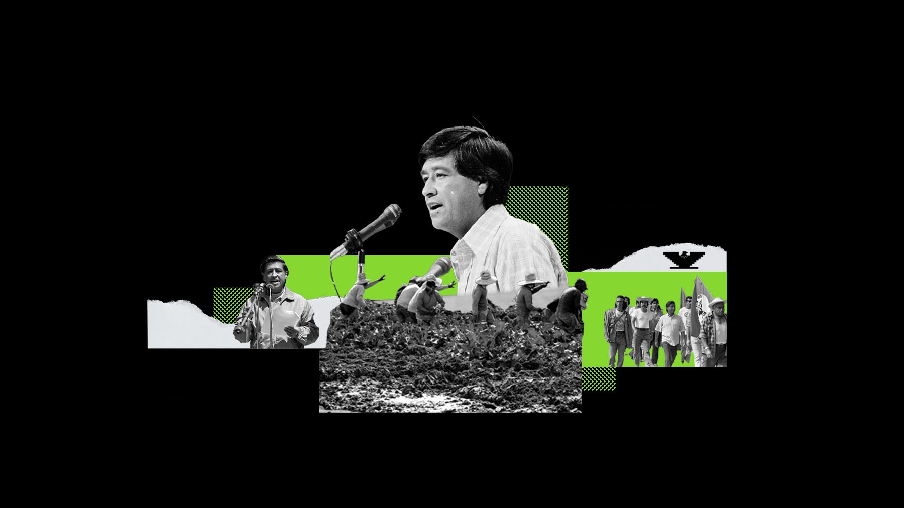 web-recognizing-cesar-chavez-day