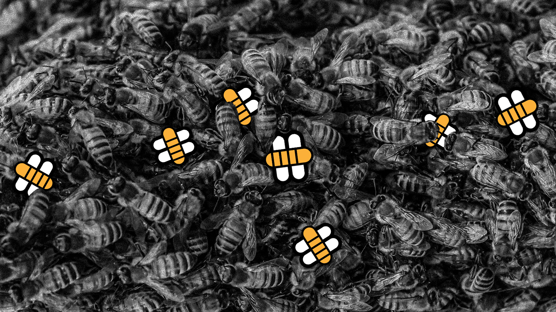 Inside the Beehive