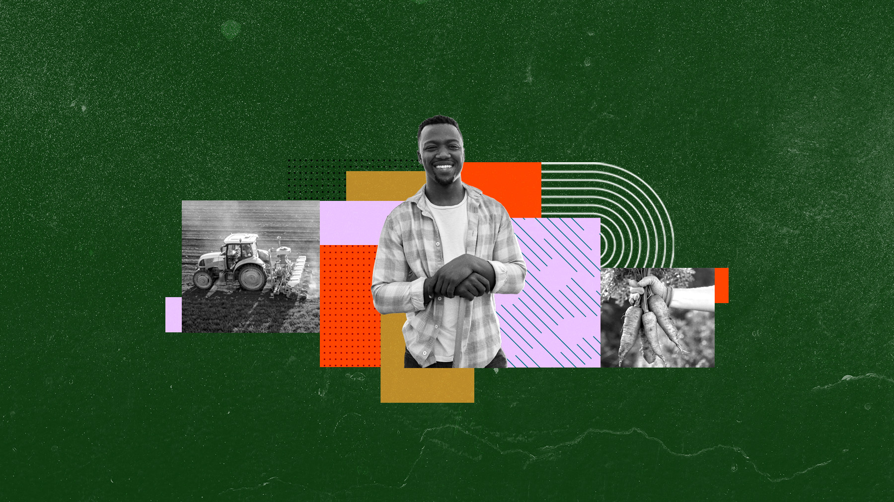 Institutions of Impact: Exploring the role of the Department of Agriculture
