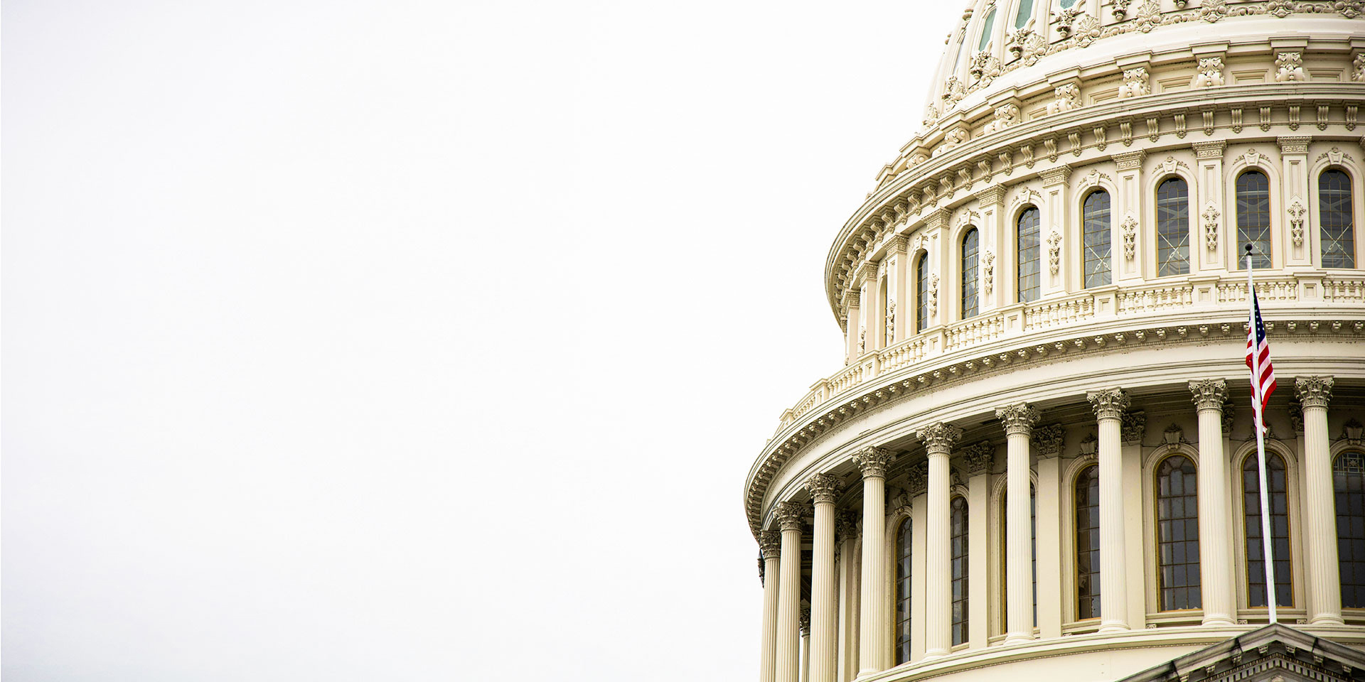 Profile of US Capitol dome against a light background.