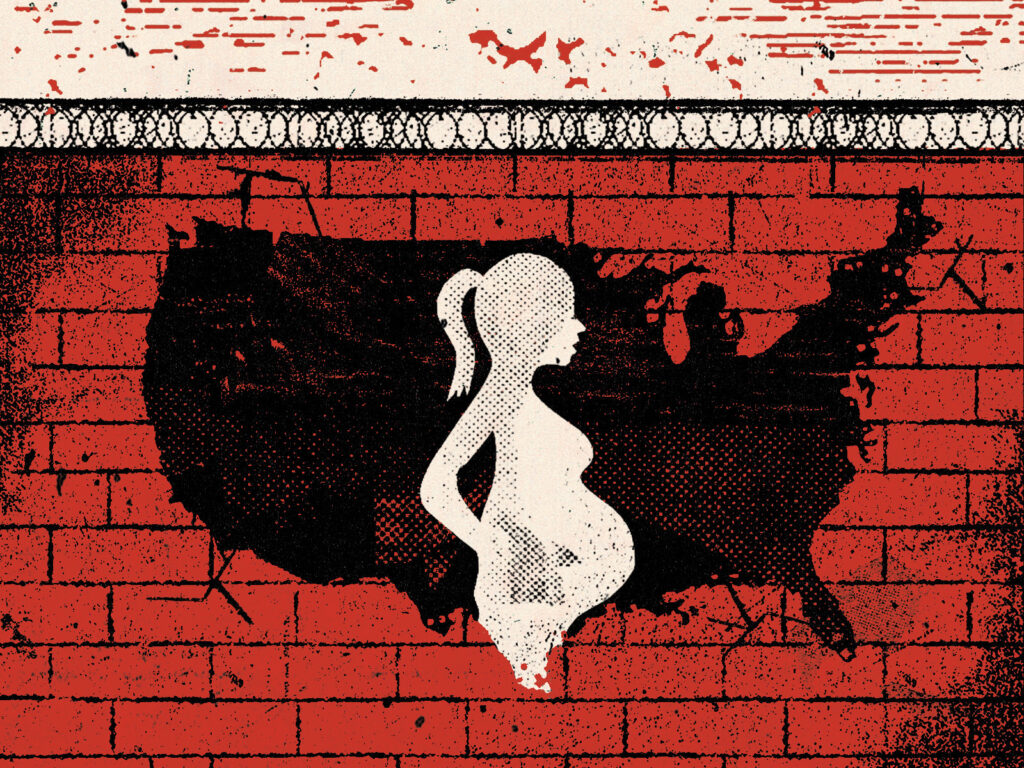 Illustration of white pregnant figure imposed over an outline of the United States over a brick wall topped with barbed wire.
