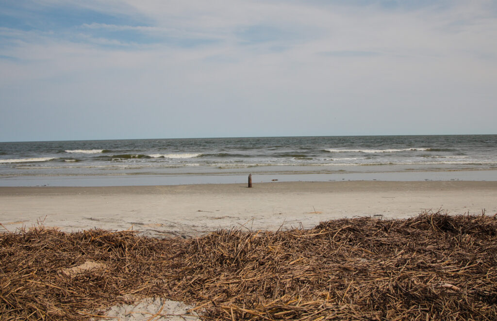 Landscape view of beach and water.