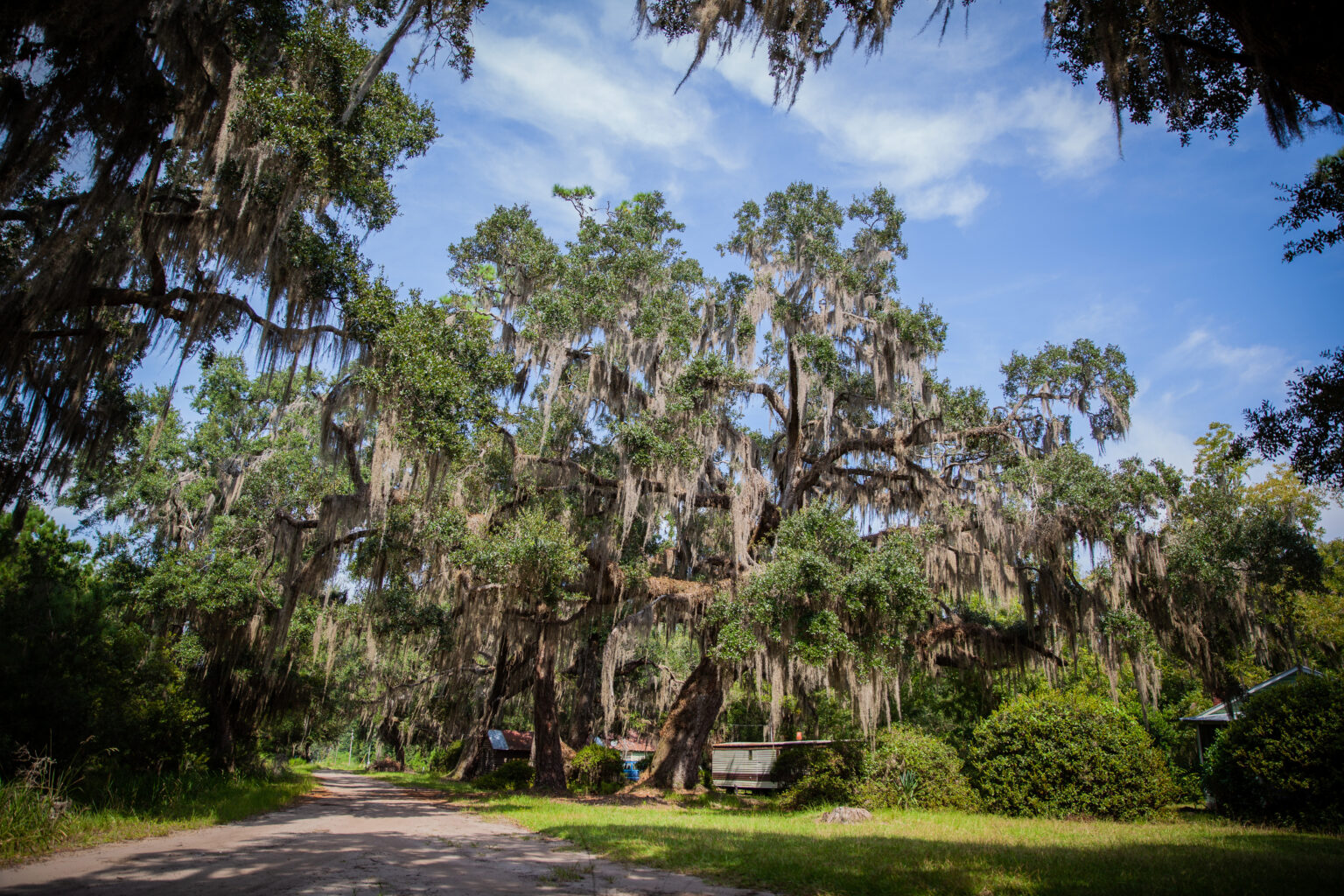 Sapelo Island’s Geechee community fighting to keep its culture
