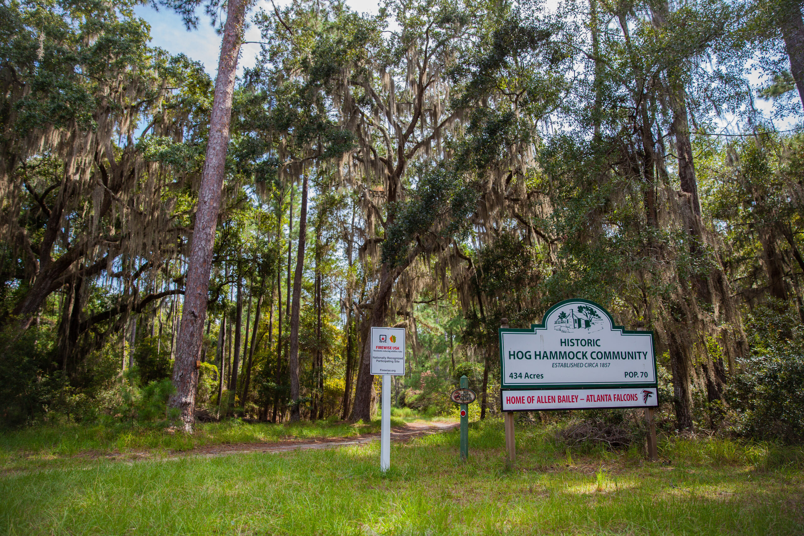 A sign near a woody dirt road reads "Historic Hog Hammock Community, Established Circa 1847, Home of Allen Bailey – Atlanta Falcons."