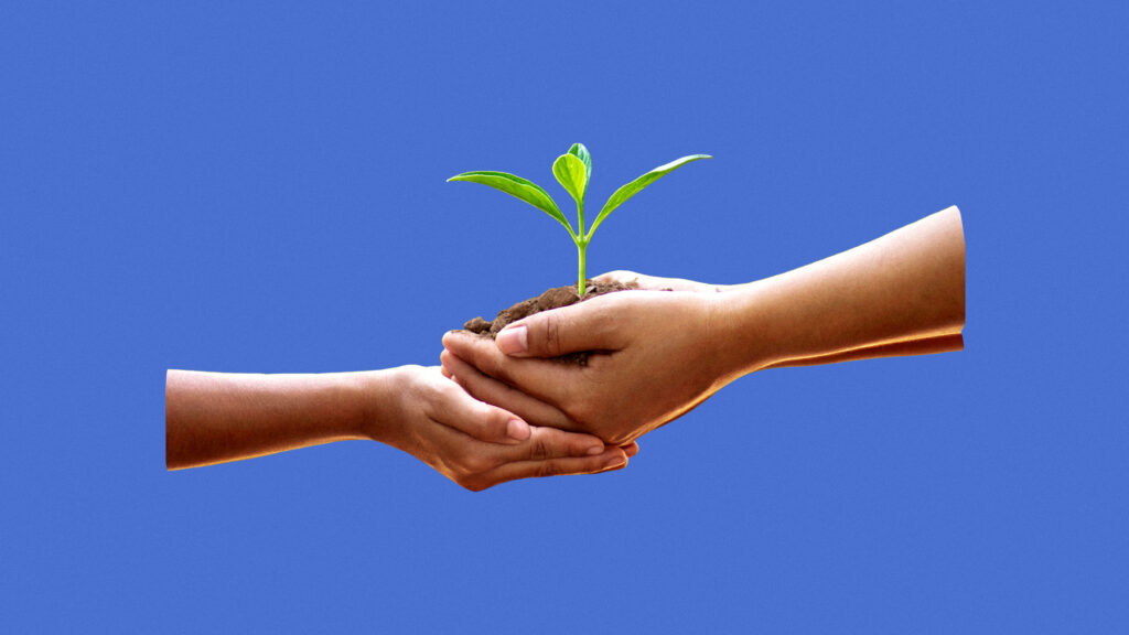 Concept image of nurturing hands holding a small plant