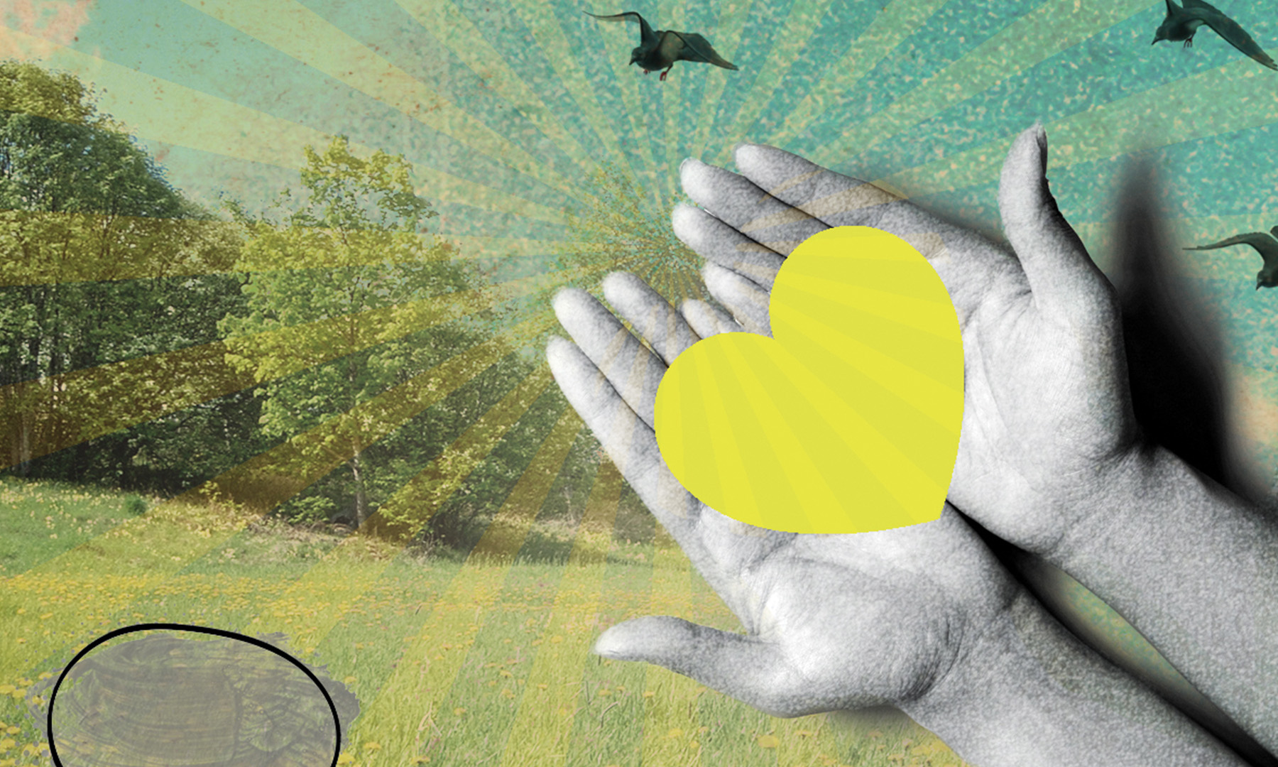 A Care Plan for Honest History and Difficult Conversations