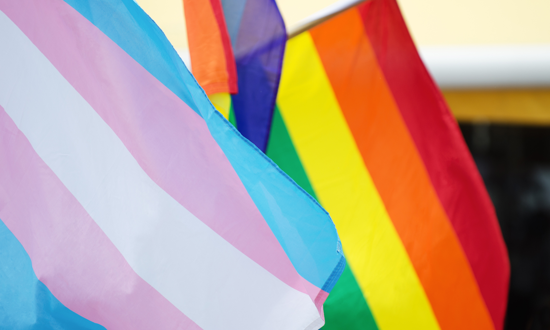 Transgender flag foreground and LGBTQ+ rainbow flag beside